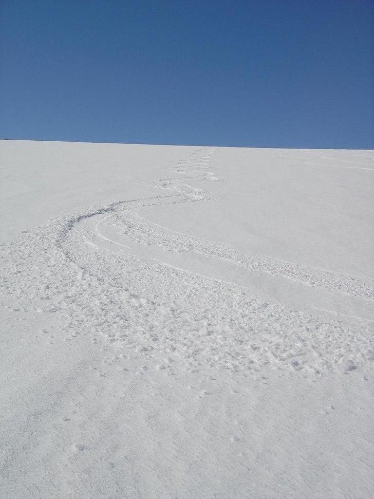 Åttor i slasksnön på baksidan Nordalsfjället i. Foto: Mikael Åsell. Åkare: Vi.