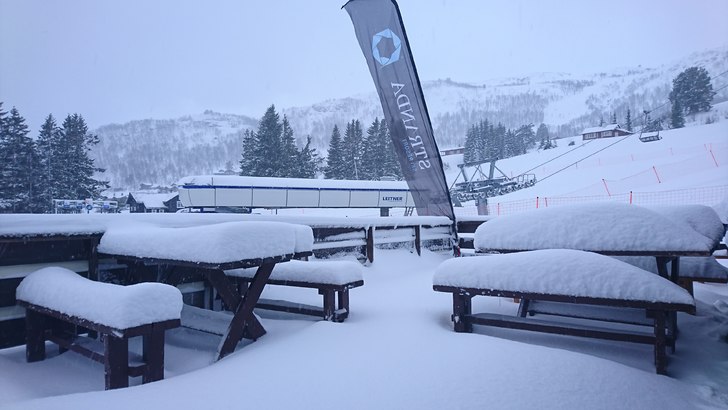 Tirsdag 11. April 
Tirsdag 11.April har vi fått 1.