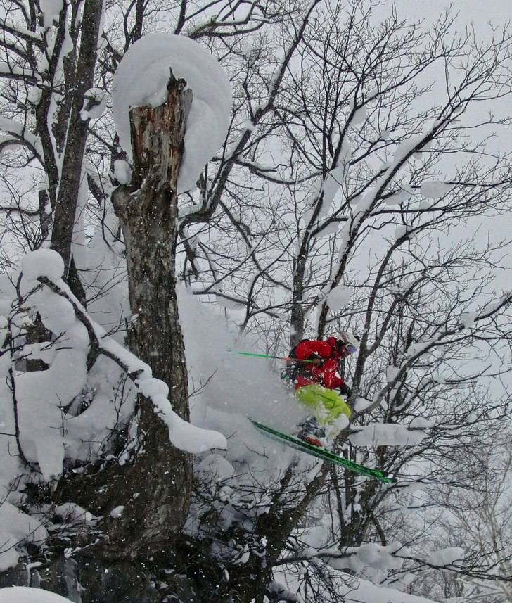 Higashi One BC! And some Treeskiing........... Foto: Henke Liljeqvist. Åkare: Robert Hortlund.