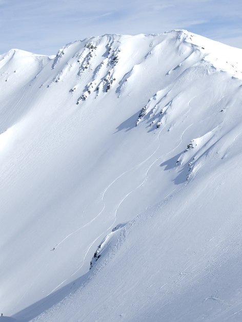 Foto: Linnea Axberg. Åkare: Johan Lilljeqvist.