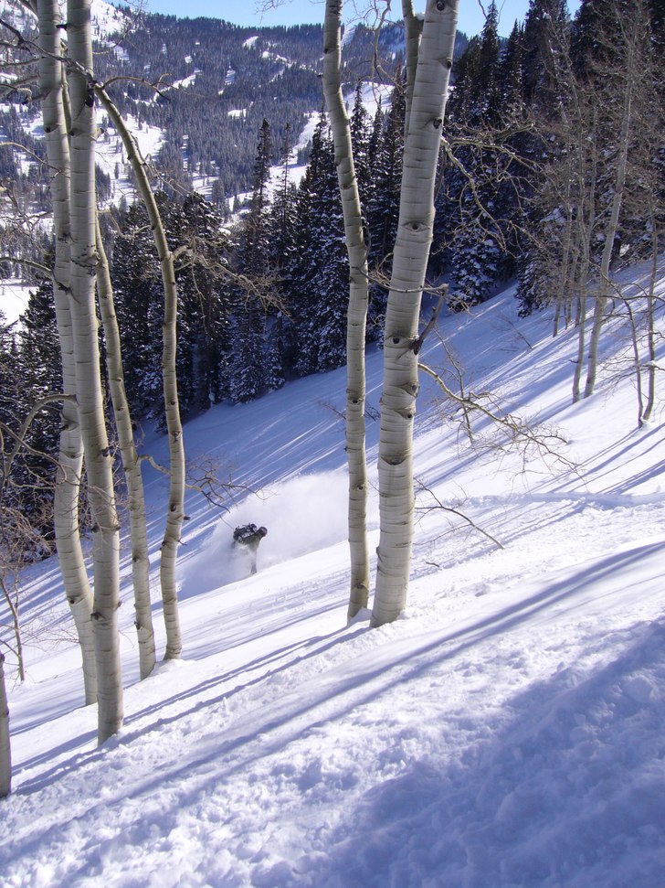 Foto: Magnus Svensson. Åkare: Johan Isaksson.