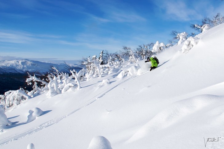 Foto: Johan Palmqvist. Åkare: Linus Svensson.