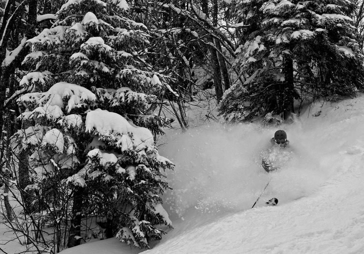 Foto: Helena Kyle. Åkare: gustav olin.