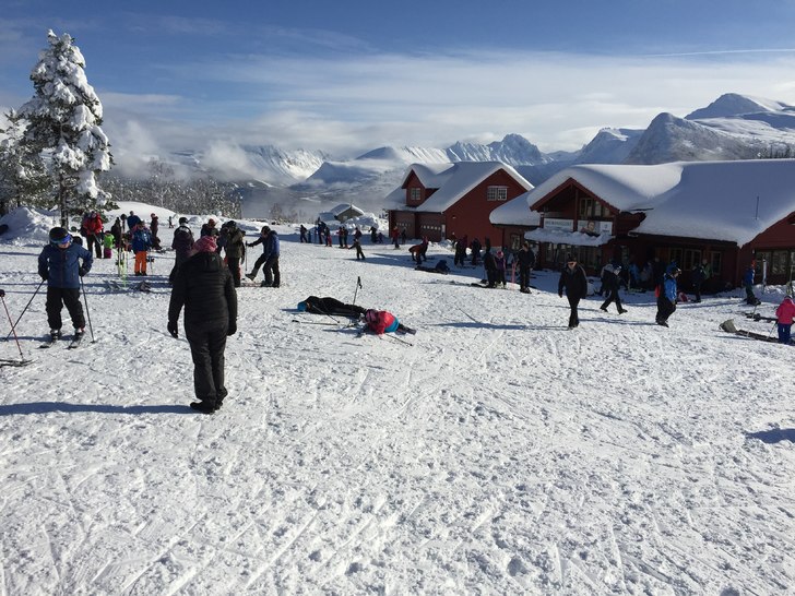 Skulebesøk
Denne veka har vi hatt besøk av mange.