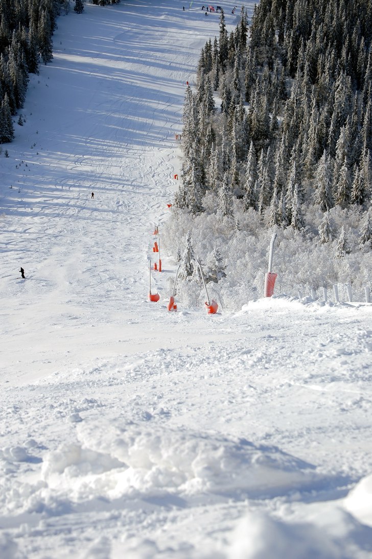 Foto: Daniel Jansson.