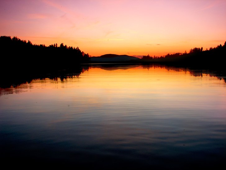 Foto: Ronny Karlsson.