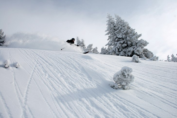 Foto: Felix Grunert. Åkare: Rikard Lindblad.
