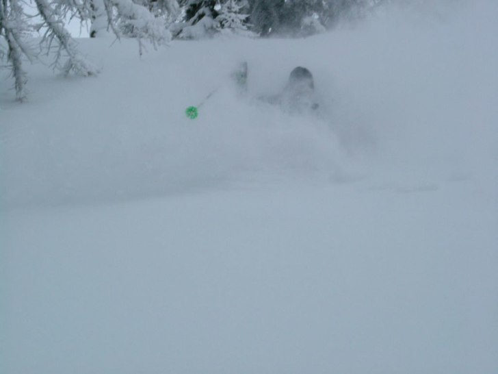 Djup puder i den glesa lärkskogen i Bruson. Foto: Eric Gillberg. Åkare: Peter Elofson.