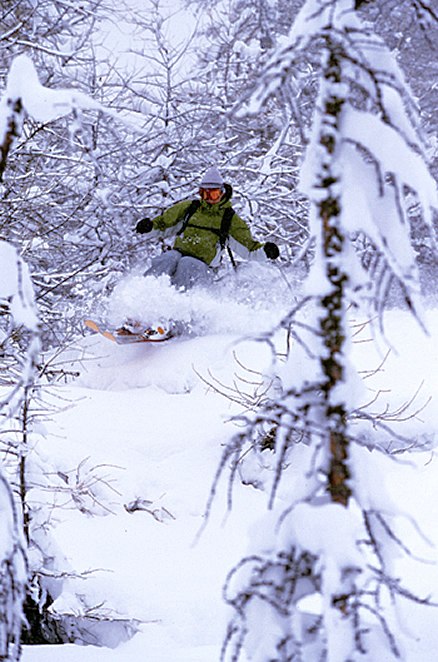 Skogsåkning rules!. Foto: Juha Laine. Åkare: Tobias Liljeroth.