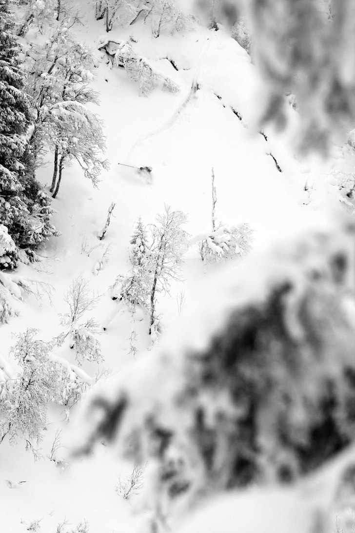 Jag och Linus drog till Duved och letade puder en . Foto: Niclas Magnusson. Åkare: Linus Zetterlund.