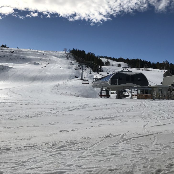 Åpent 10.00-16.30
Sooola skinner på Gautefall og.