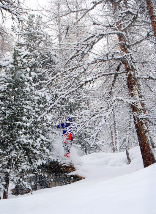 Puderdag i mars. Foto: Victor Halling. Åkare: ALexander Eriksson.