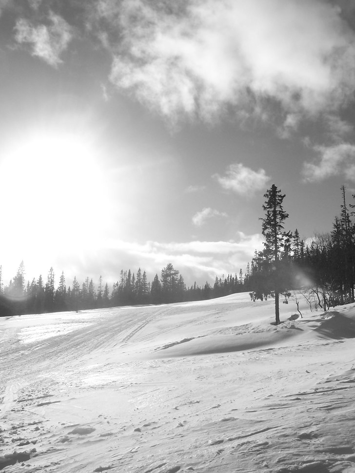 Foto: Malin Qvarfordt.