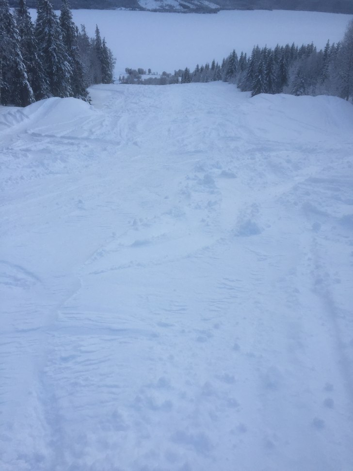 Mye Nysnø 
Kjempefine forhold så ut på ski ⛷?.