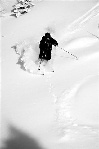 Foto: Erik Arthur. Åkare: Johan Berg.