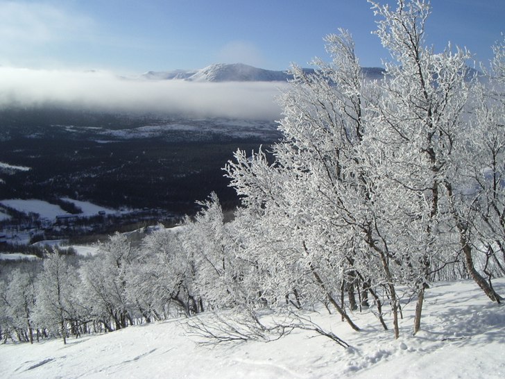Foto: André Sandström.