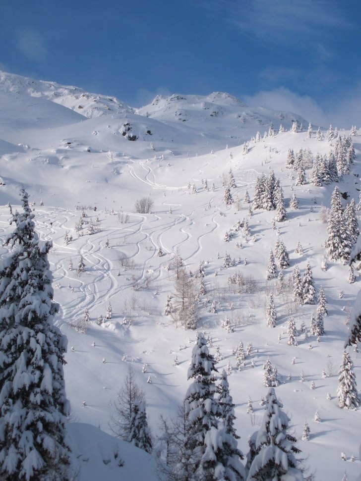 Foto: Ane Christophersen. Åkare: 5 stk.