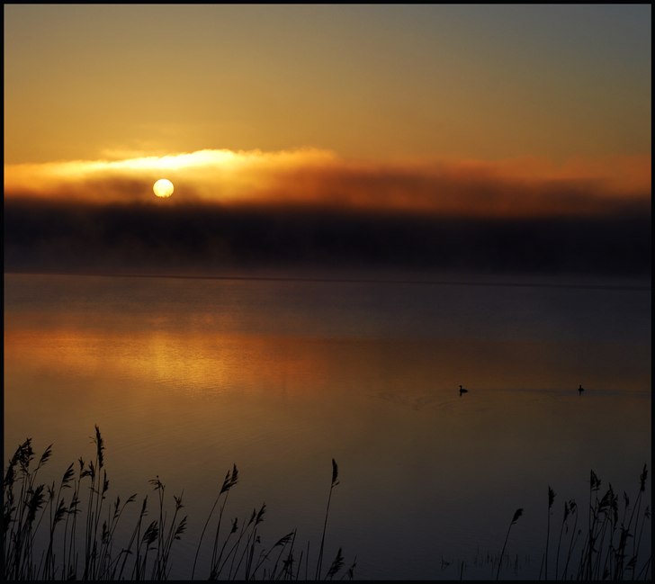 Foto: Simon Pontér.