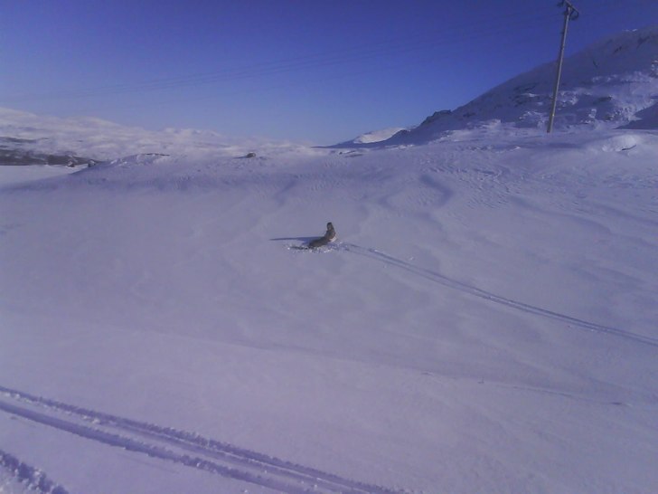 Foto: Jag. Åkare: Fredrik.