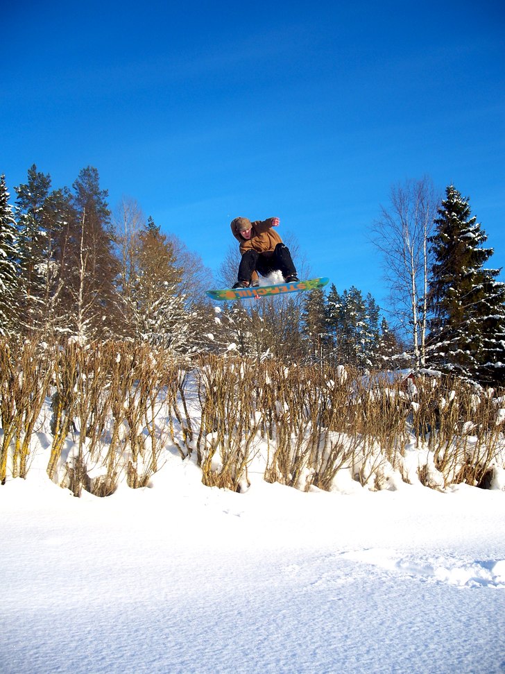 stalefish. Foto: Mor. Åkare: Tim Linngård.