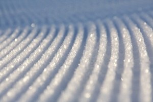 Foto: Jonas Wahlstrand.