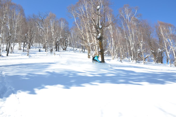 Lite skogsåkning i Papperwoods. Foto: Mats vestin. Åkare: Maxe vestin.