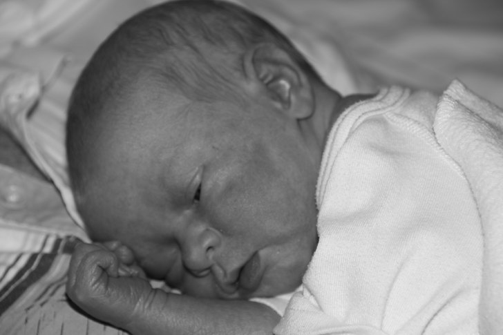 Lilla Thor. Foto: Rikard Svall. Åkare: Thor Svall.