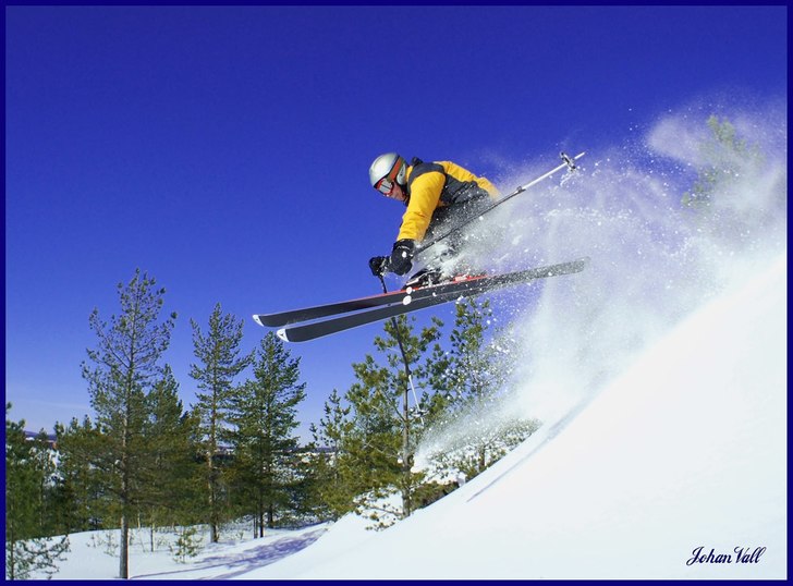 Foto: Johan Vall. Åkare: Rickard Sundström.