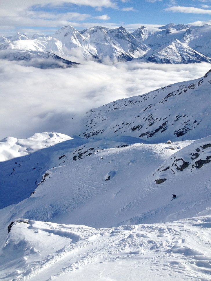 Foto: Fridagus. Åkare: SofiaH.