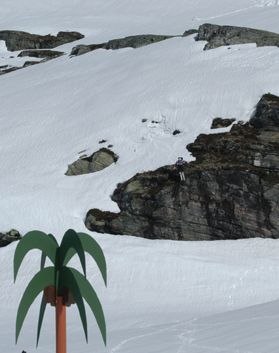 Foto: Erlend Sande. Åkare: Johan Edenteg.