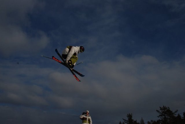 540 japicolt. Foto: ?. Åkare: Simon sundlöf.