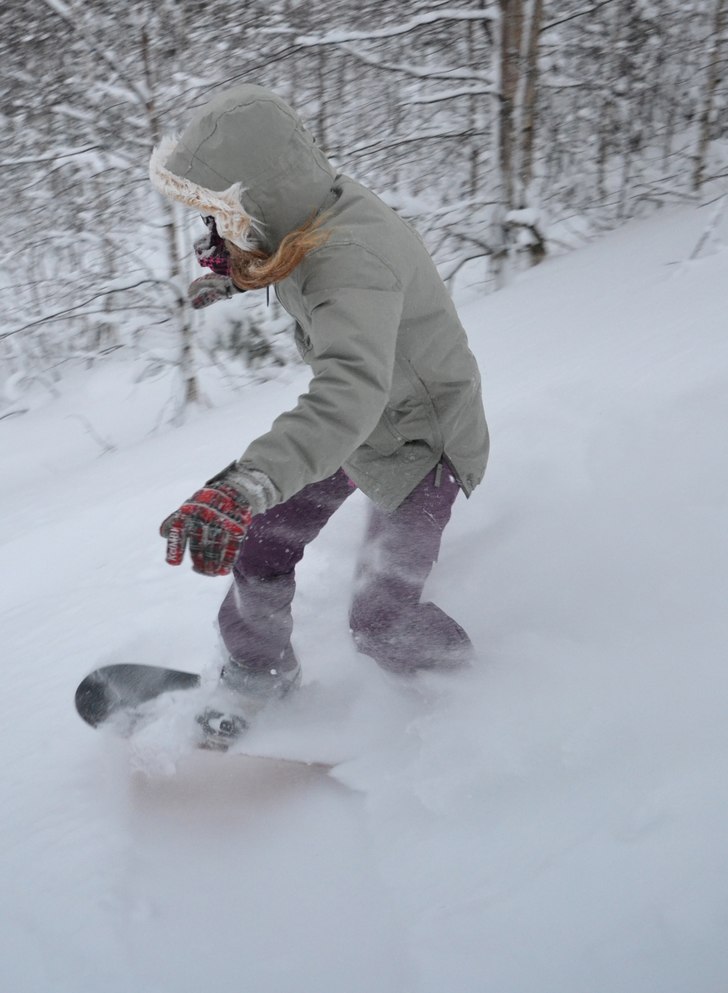 Hajkat!. Foto: jonny boy. Åkare: Johanna Perhult.