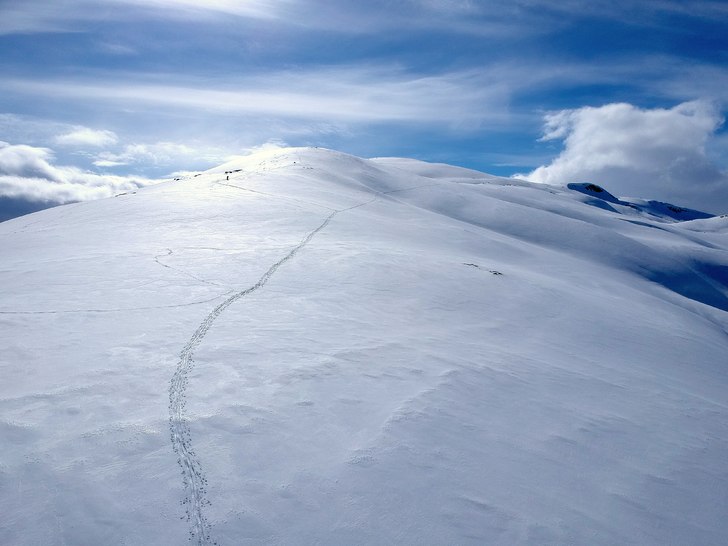 Foto: Anders Wingqvist.