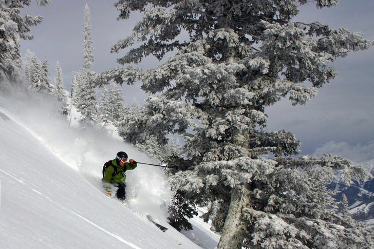 Foto: Max Larsson. Åkare: Gustav Björklund.