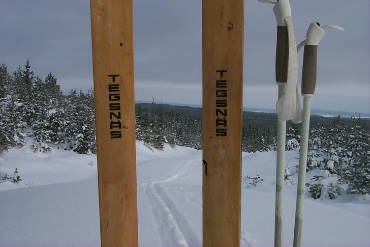 Foto: Nalle Knutsson. Åkare: Ingen.