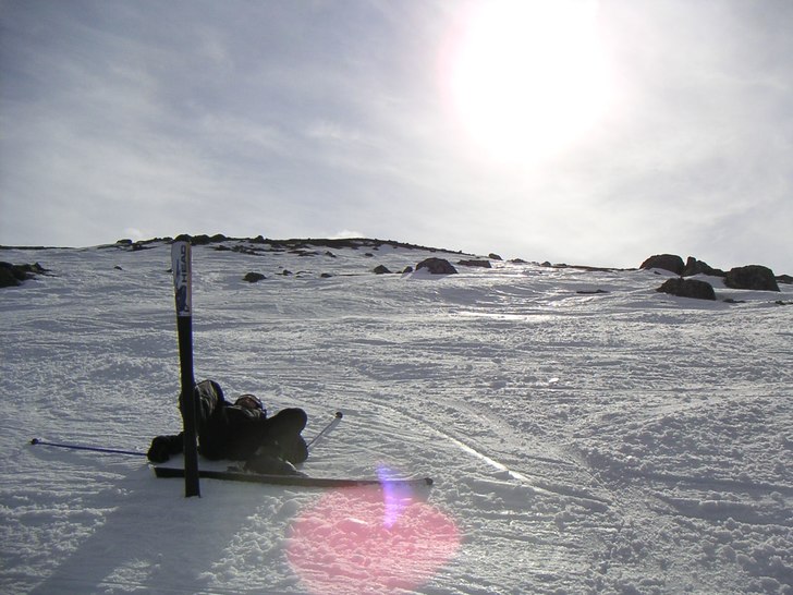 Vila lite granna. Foto: Håkan Andersson. Åkare: Micke Andersson.