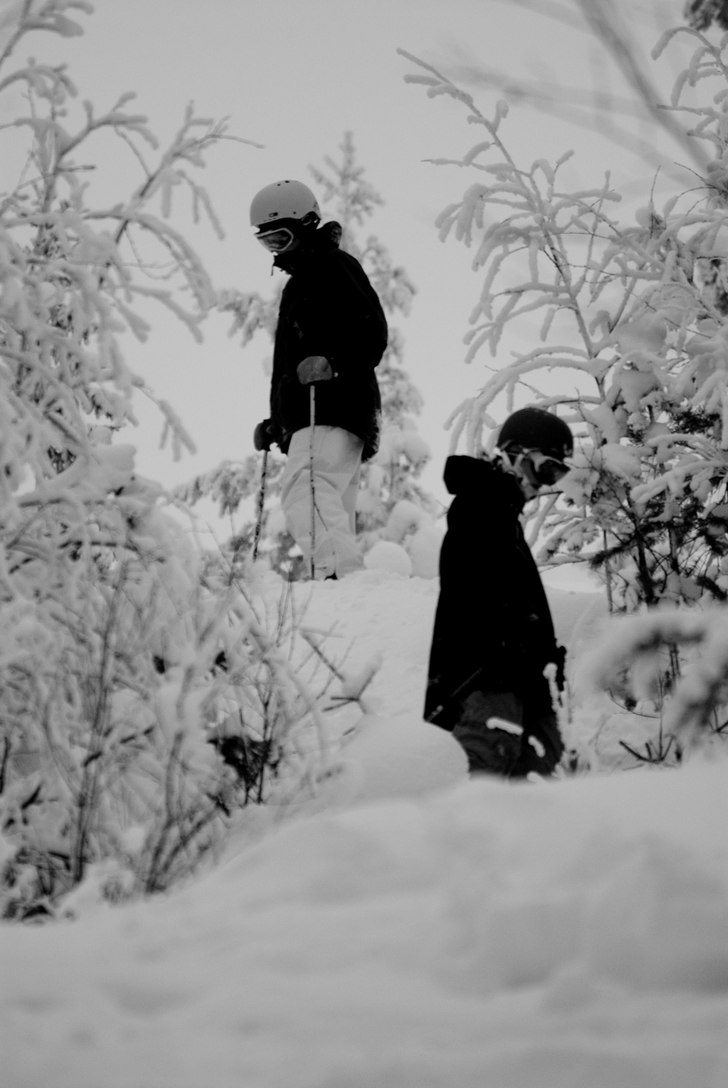 Snowflakes in june. Foto: Christian Kahlbom.