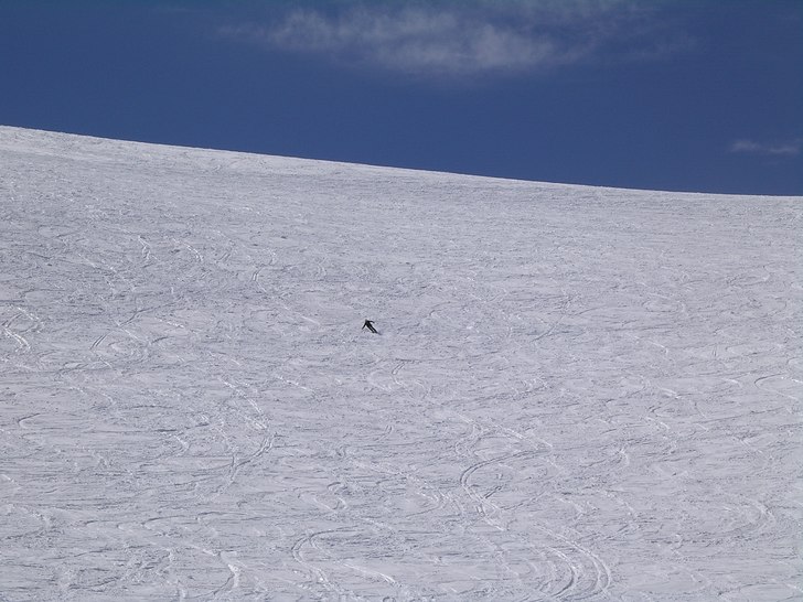 Foto: Konrad. Åkare: Agata.