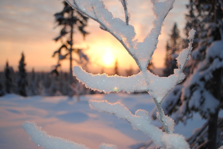 Foto: Linn Östlund.