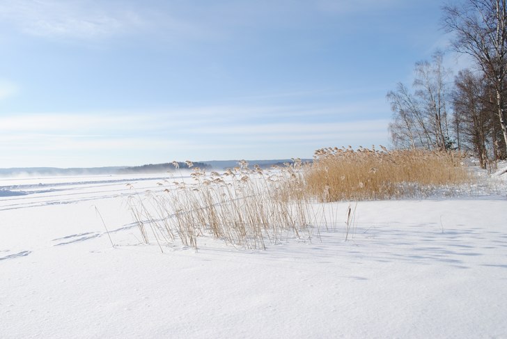 Foto: Linn Östlund.
