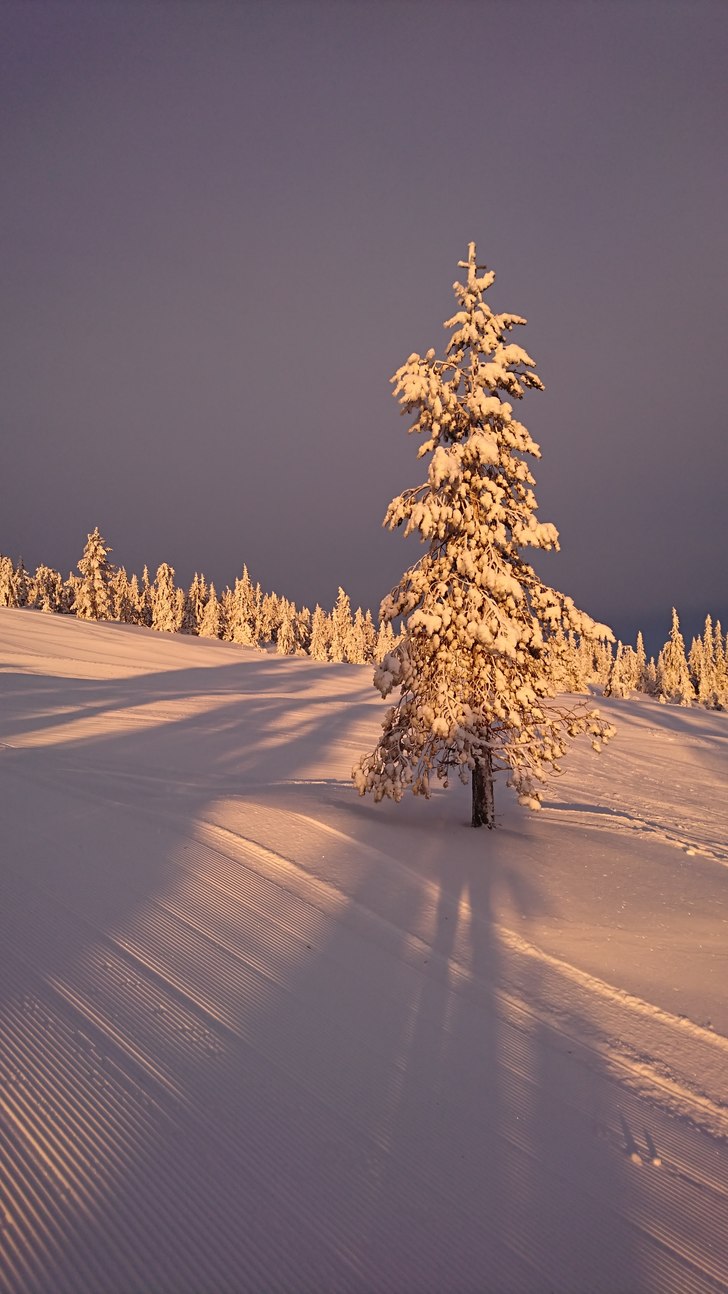 Perfekt 
Sol, nysnø og åtte minus .