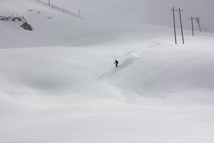 Foto: David Lindgren. Åkare: Christer Hällare.