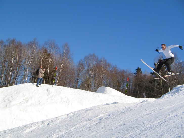 Daffy. Foto: Jessica Holgersson. Åkare: Jimmy Schiöld.