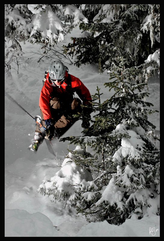 Nice little tree move. Foto: Rob Hamilton-Smith. Åkare: Anders.