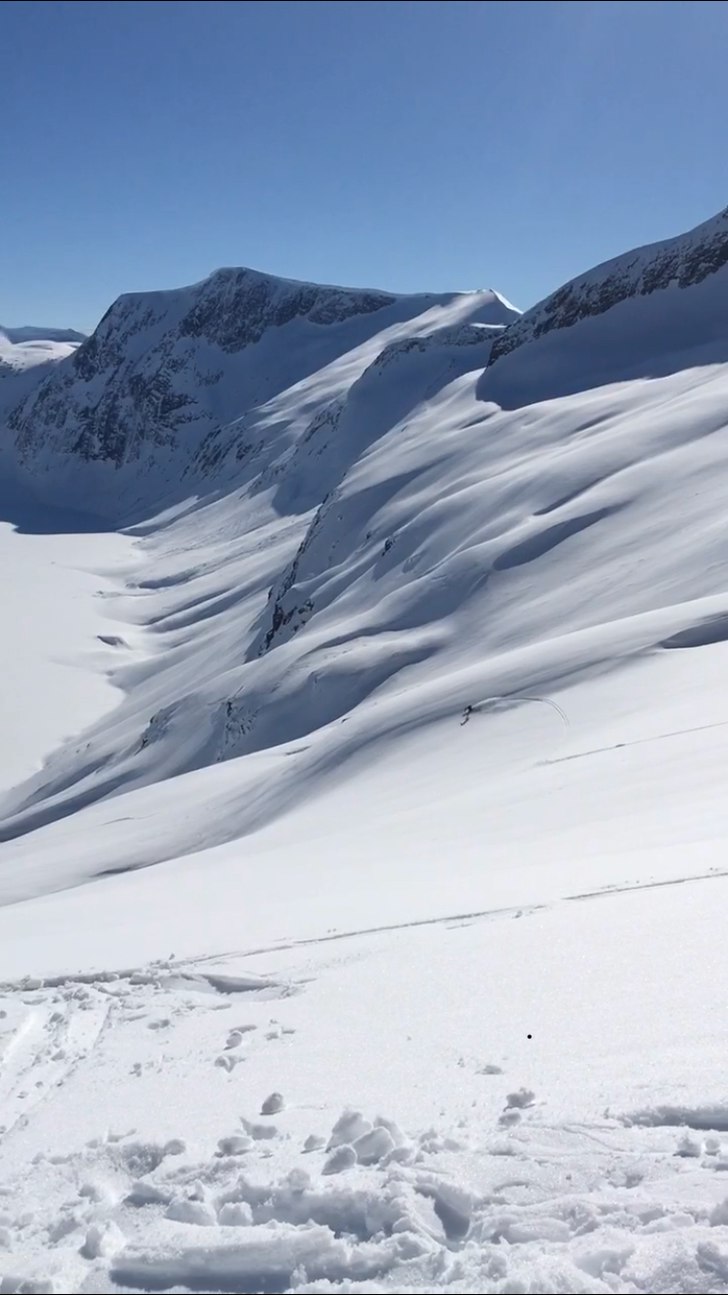 Norge 14 dagar efter senaste snöfall, 600 höjdme.