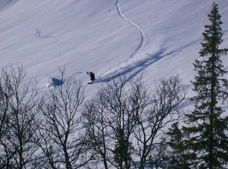 Foto: Maria. Åkare: Danne.