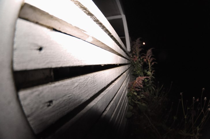 testar nya samyang 8mm på ett staket!. Foto: Jag (Max Larsson.