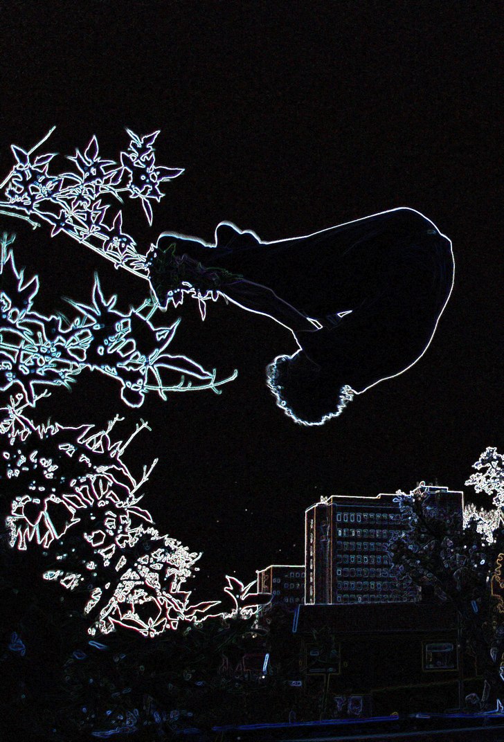 maah... Foto: Nicke. Åkare: Max.