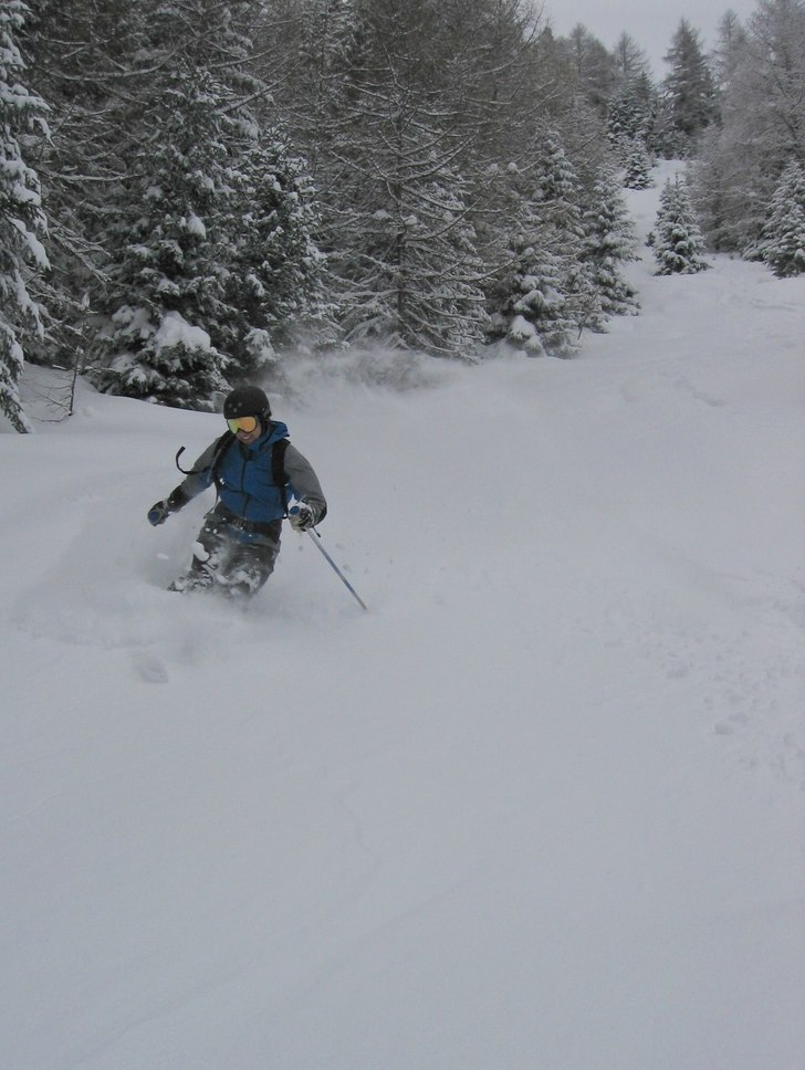 Foto: Dwarf banana Hanna. Åkare: Pär.