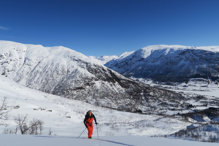 @Zlatan.